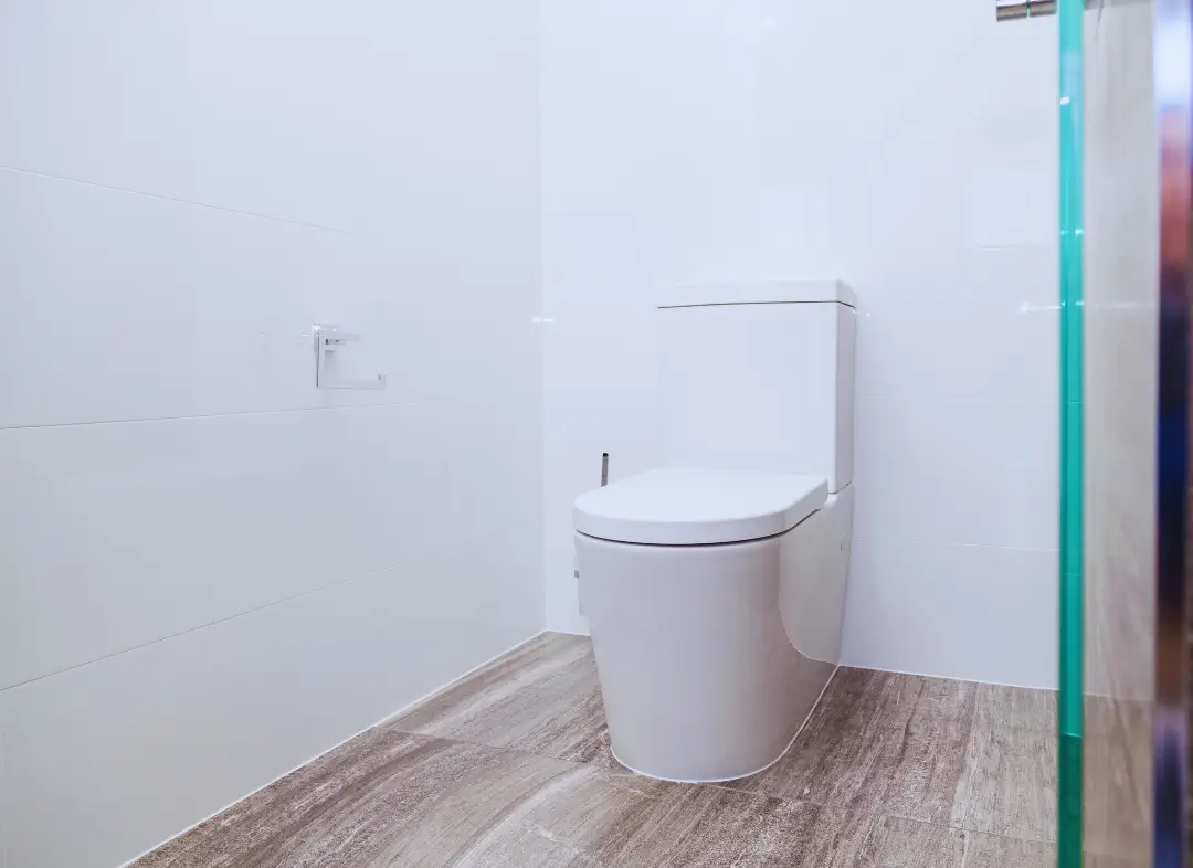 Remplacement de wc Donges